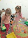 img20241107wa0041_small.jpg
