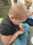 img20241107wa0060_small.jpg