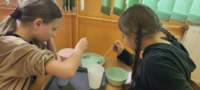 img20250425wa0153_small.jpg