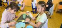 img20250425wa0156_small.jpg
