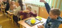 img20250425wa0177_small.jpg