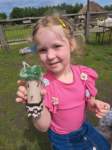 img20250607wa0004_small.jpg