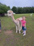 img20250607wa0008_small.jpg