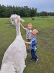 img20250607wa0009_small.jpg