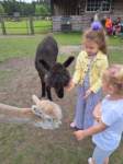 img20250607wa0010_small.jpg