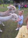 img20250607wa0011_small.jpg