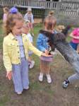img20250607wa0012_small.jpg