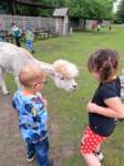 img20250607wa0019_small.jpg