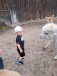 img20250607wa0024_small.jpg