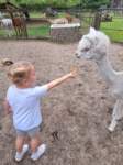 img20250607wa0027_small.jpg