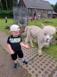 img20250607wa0029_small.jpg