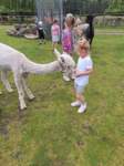 img20250607wa0030_small.jpg