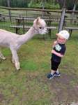 img20250607wa0031_small.jpg