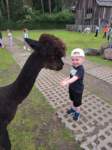 img20250607wa0032_small.jpg
