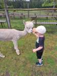 img20250607wa0033_small.jpg