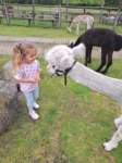 img20250607wa0034_small.jpg