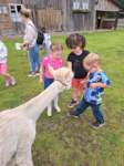 img20250607wa0035_small.jpg