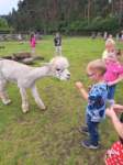 img20250607wa0036_small.jpg