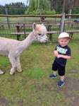 img20250607wa0037_small.jpg