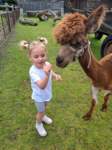 img20250607wa0038_small.jpg