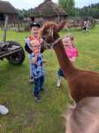 img20250607wa0039_small.jpg