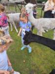 img20250607wa0045_small.jpg