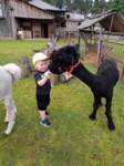 img20250607wa0048_small.jpg
