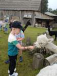 img20250606wa0003_small.jpg