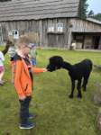img20250606wa0006_small.jpg