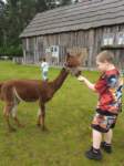 img20250606wa0007_small.jpg