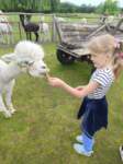 img20250606wa0008_small.jpg