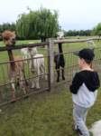 img20250606wa0012_small.jpg