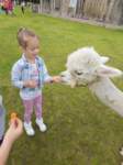 img20250606wa0015_small.jpg