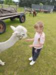 img20250606wa0016_small.jpg