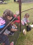 img20250606wa0018_small.jpg