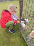 img20250606wa0020_small.jpg
