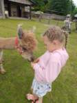 img20250606wa0021_small.jpg
