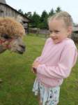 img20250606wa0022_small.jpg