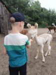 img20250606wa0027_small.jpg