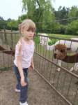 img20250606wa0028_small.jpg