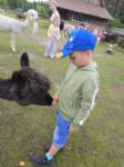 img20250606wa0039_small.jpg