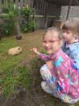 img20250606wa0041_small.jpg