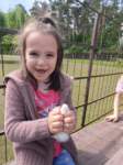 img20250606wa0047_small.jpg
