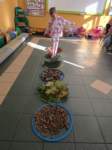img20241011wa0015_small.jpg