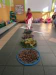 img20241011wa0017_small.jpg