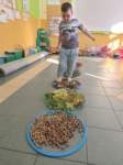 img20241011wa0023_small.jpg