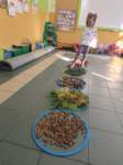img20241011wa0025_small.jpg