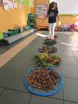img20241011wa0026_small.jpg