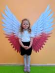 img20260430wa0001_small.jpg
