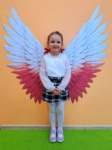 img20260430wa0010_small.jpg